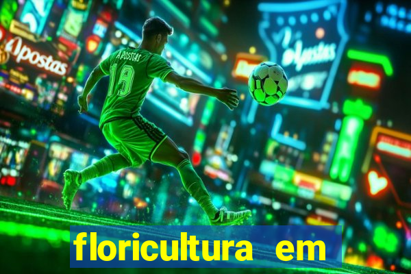 floricultura em franca sp